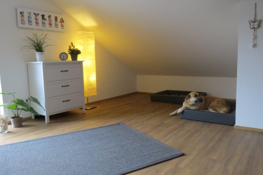 Ferienhaus Pfotenglueck Urlaub mit Hund in der Eifel hunderlaubt