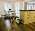 hunde erlaubt